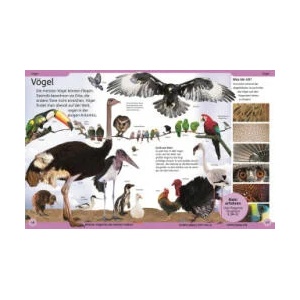 DK Kinderlexikon. Tiere | DK Verlag - Kids (ISBN: 9783831046614)