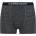 Icebreaker Мъжки боксерки Anatomica на Icebreaker, сиви (IB103029038)