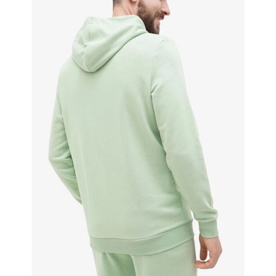 PUMA Essentials+ 2 Color Logo Hoodie Green