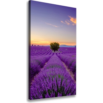 Vertikálny foto obraz canvas Pole levanduľe 50x100 cm