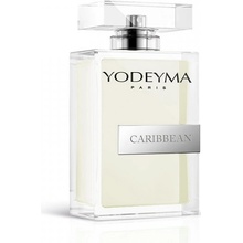 Yodeyma Caribbean parfémovaná voda pánská 100 ml