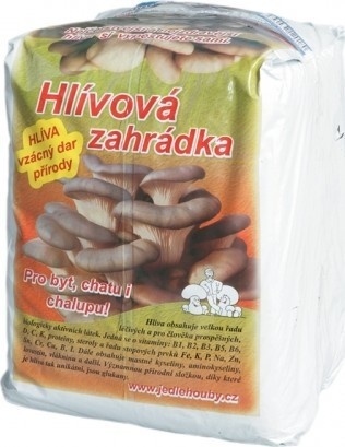 Hlivova Zahradka Zkusenosti