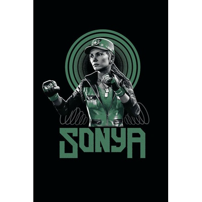 Plagát, Obraz - Mortal Kombat - Sonya, 26.7 × 40 cm