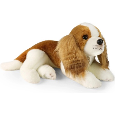 Eco-Friendly pes gavalier king Charles španiel 40 cm