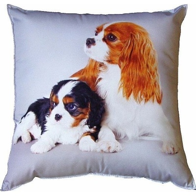 Dadka FotoVankúš Psie kavalieri 40x40