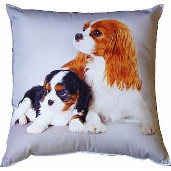 Dadka FotoVankúš Psie kavalieri 40x40