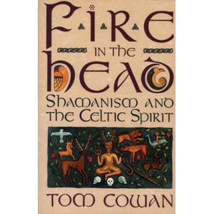 Fire in the Head (ISBN: 9780062501745)