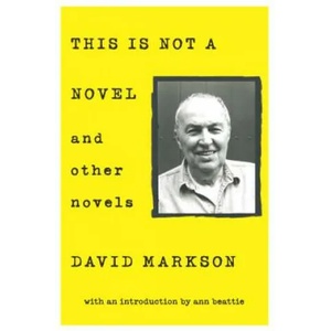 This is Not a Novel and Other Novels (ISBN: 9781619027145)