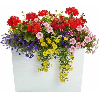HowHomely PLASTOVÝ KVĚTINÁČ BLOOM RIFLO 36X56X20 CM BÍLÁ