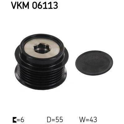SKF-VKM 06113