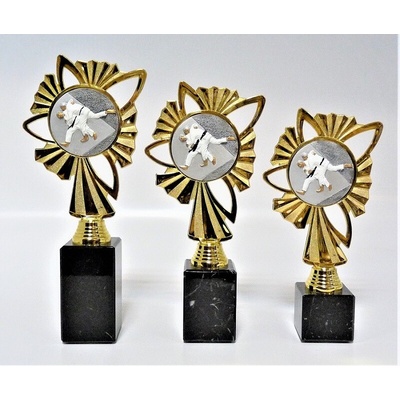 VIZINGR Judo trofeje K23-FG004 24 cm