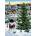 Cobble Hill - Puzzle Weirs: Village Tree - 500 piese