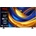 TCL 50P655