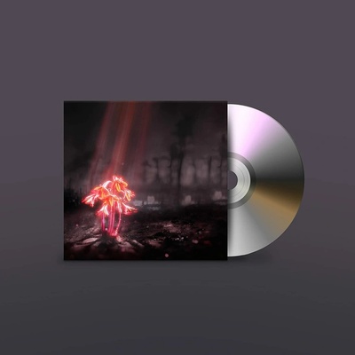 ENTER SHIKARI - A KISS FOR THE WHOLE WORLD CD