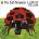 Bad-tempered Ladybird