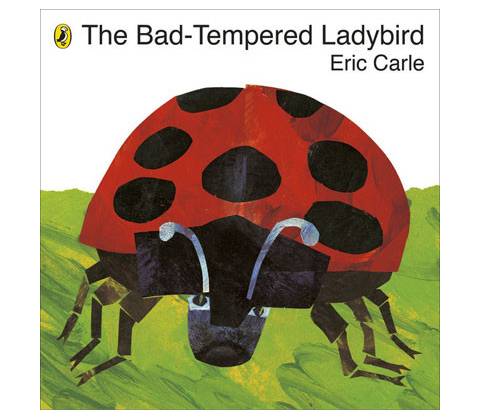 Bad-tempered Ladybird