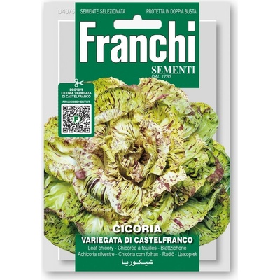 Franchi Sementi Čakanka "Variegato di Castelfranco" 1 ks