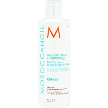 Moroccanoil Repair Moisture Repair Conditioner 250 ml