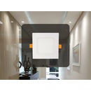 Nedes LPL221