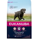 Granule pro psy Eukanuba Senior Large Breed 3 kg
