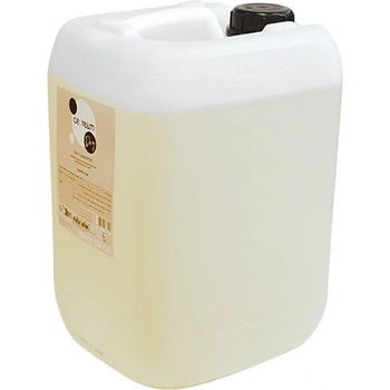 Inebrya Ice Cream Dry-T Shampoo 10000 ml