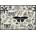 Interdruk - Puzzle Butterflies and flowers 500 - 500 piese