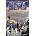 Walking Dead Kirkman RobertPaperback
