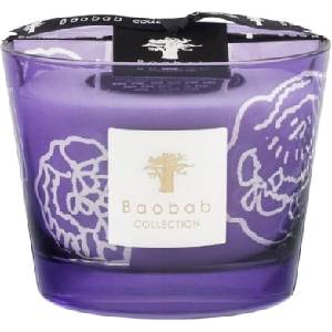 Baobab Collection Collectible Roses Ароматна свещ Dark Parma, 10 см (MAX10CORD)