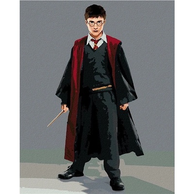 zuty Malování Podle Čísel Harry Potter V Hábitu S Hůlkou 40 x 50 Cm Plátno Rám