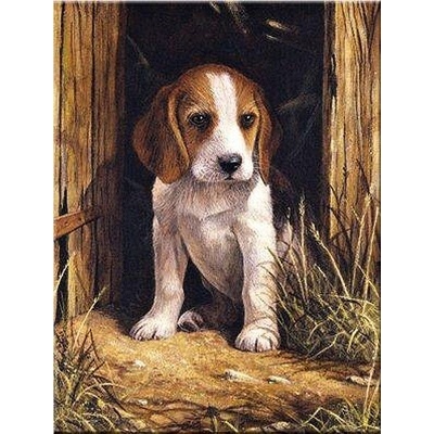 Malování podle čísel Štěně Bígl