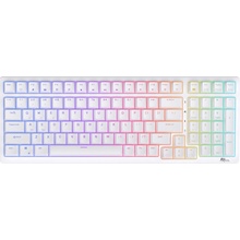Royal Kludge RK100 Blue Switch White