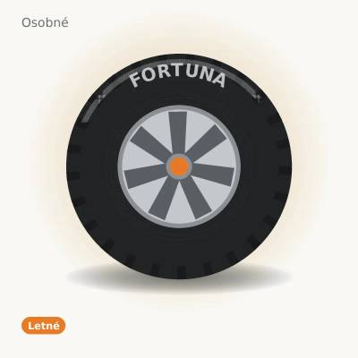 Fortuna Ecoplus HP 195/50 R16 84V