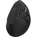 NATEC Euphonie Pro NMY-2291