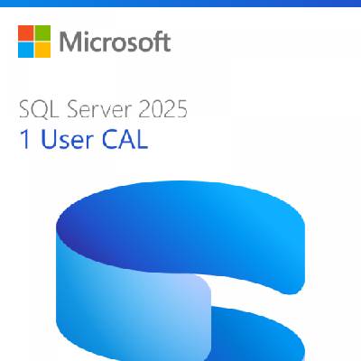 Microsoft SQL Server 2025 - 1 User CAL (DG7GMGF0VNHV-0002)