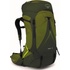 Osprey Atmos AG LT 65l scenic valley/green peppercorn
