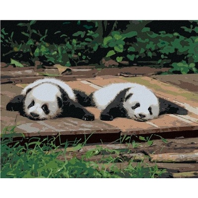 zuty Malování Podle Čísel Panda Ležící Na Dřevě 80 x 100 Cm Plátno Rám