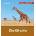 Die Giraffe