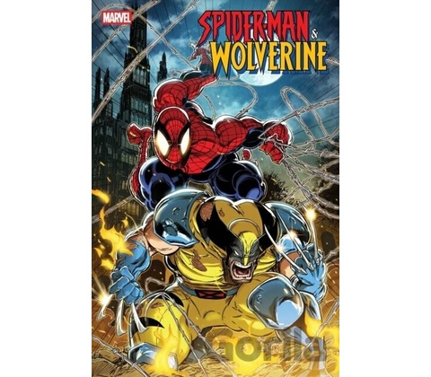 SPIDER MAN & WOLVERINE V01