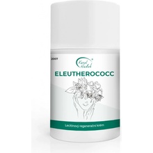 Karel Hadek Eleutherococc Regenerační krém 50 ml