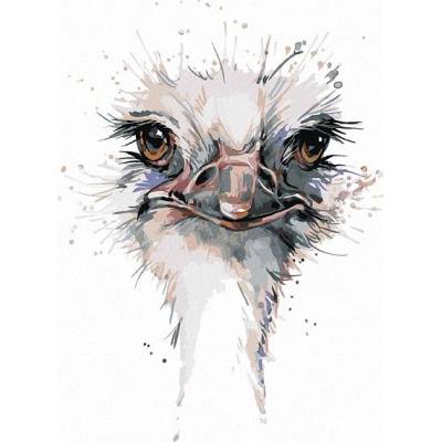 zuty Malování Podle Čísel Pštrosí Hlava 80 x 100 Cm Plátno