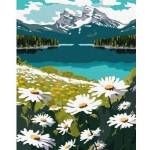 Ideyka Painting by numbers - Flowering daisies 40x50cm