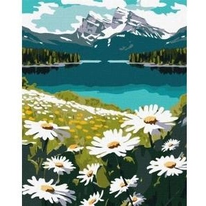 Ideyka Painting by numbers - Flowering daisies 40x50cm