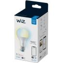 WiZ Tunable White 100W E27 A67