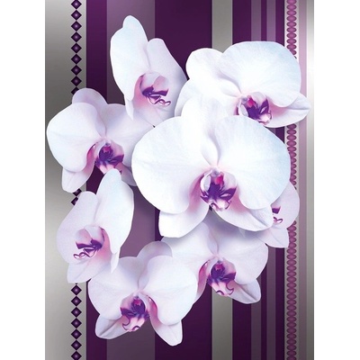 Preinterier Fototapeta panel - PL0106 - Biele kvety na ružovom pozadí vlies - 206cm x 275cm
