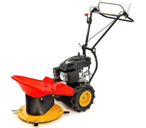 Agama SB 225