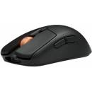Fnatic Bolt MS0003-001