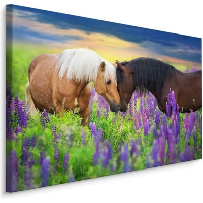 MyBestHome BOX Plátno Koně Na Louce Varianta: 70x50