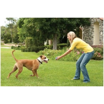 Petsafe Bezdrátový ohradník pro psy Stay Play