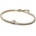 Pandora 560041C01