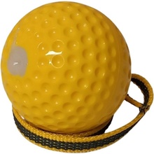 Aport míč 8 cm gumový plný s provázkem 45 cm Gappay